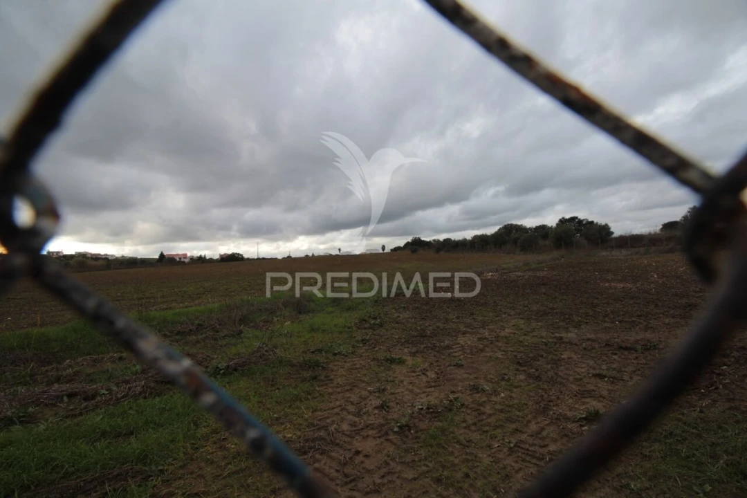 Terreno para Venda em Sousel Foto 26