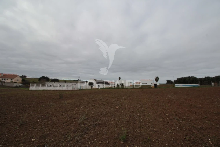 Terreno para Venda em Sousel Foto 7