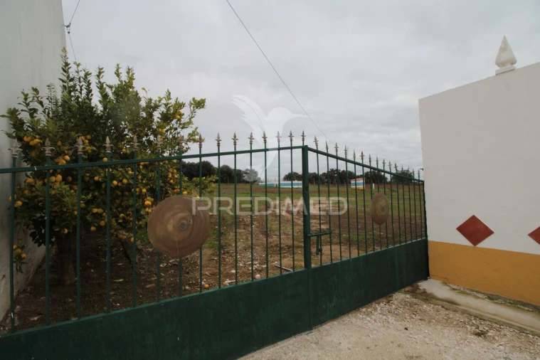 Terreno para Venda em Sousel Foto 4