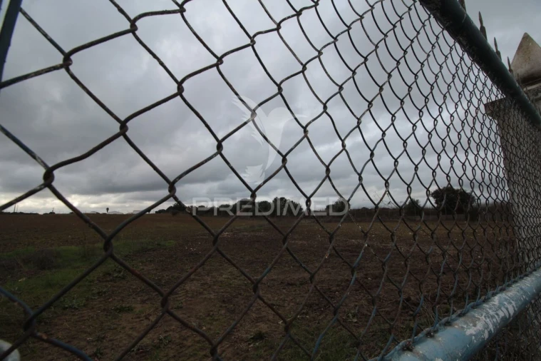 Terreno para Venda em Sousel Foto 28