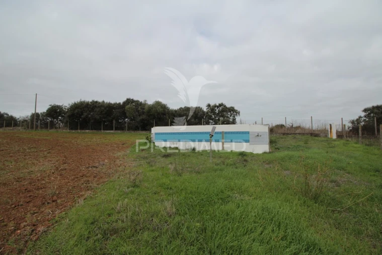 Terreno para Venda em Sousel Foto 5