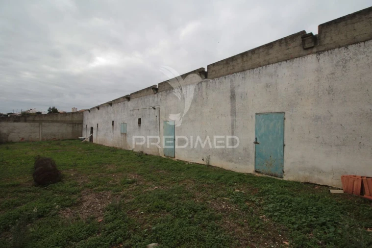 Terreno para Venda em Sousel Foto 8