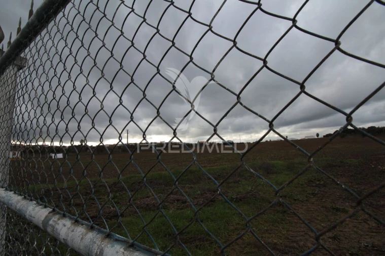 Terreno para Venda em Sousel Foto 27