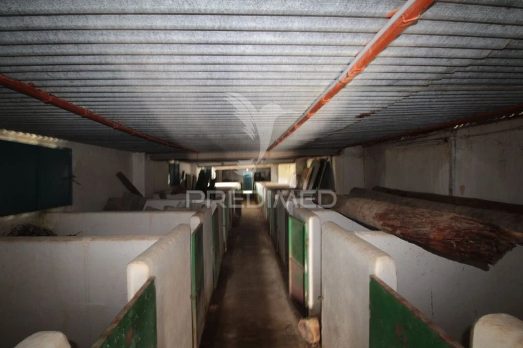 Terreno para Venda em Sousel Foto 22