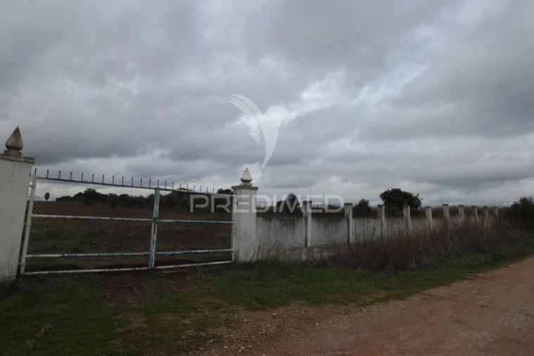 Terreno para Venda em Sousel Foto 25