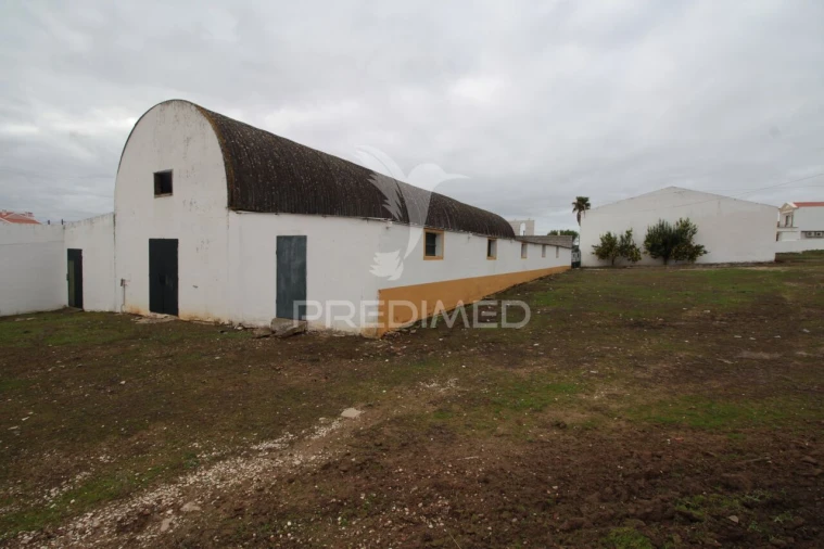 Terreno para Venda em Sousel Foto 21