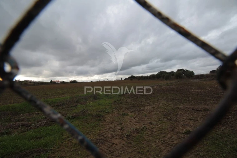 Terreno para Venda em Sousel Foto 26