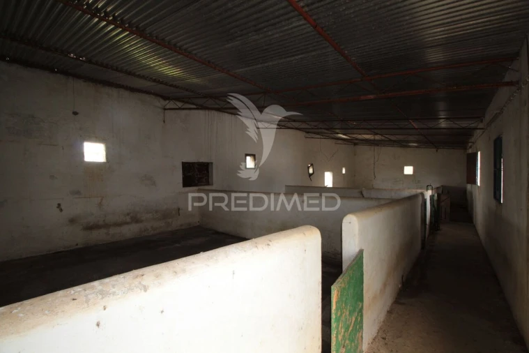 Terreno para Venda em Sousel Foto 17