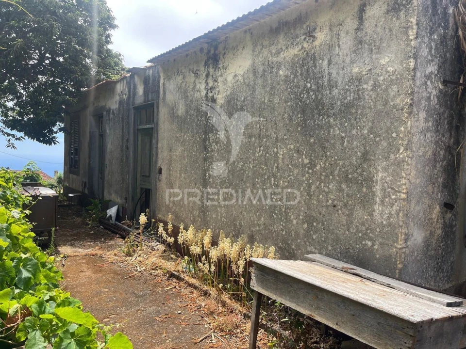 Quinta T9 para Venda em Ponta do Pargo Foto 5