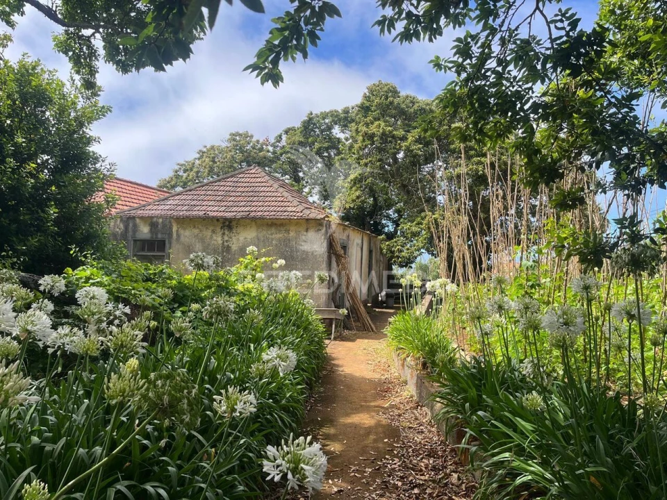 Quinta T9 para Venda em Ponta do Pargo Foto 15