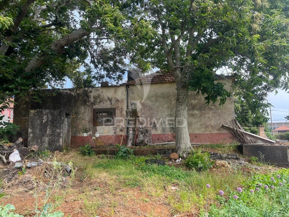 Quinta T9 para Venda em Ponta do Pargo Foto 11