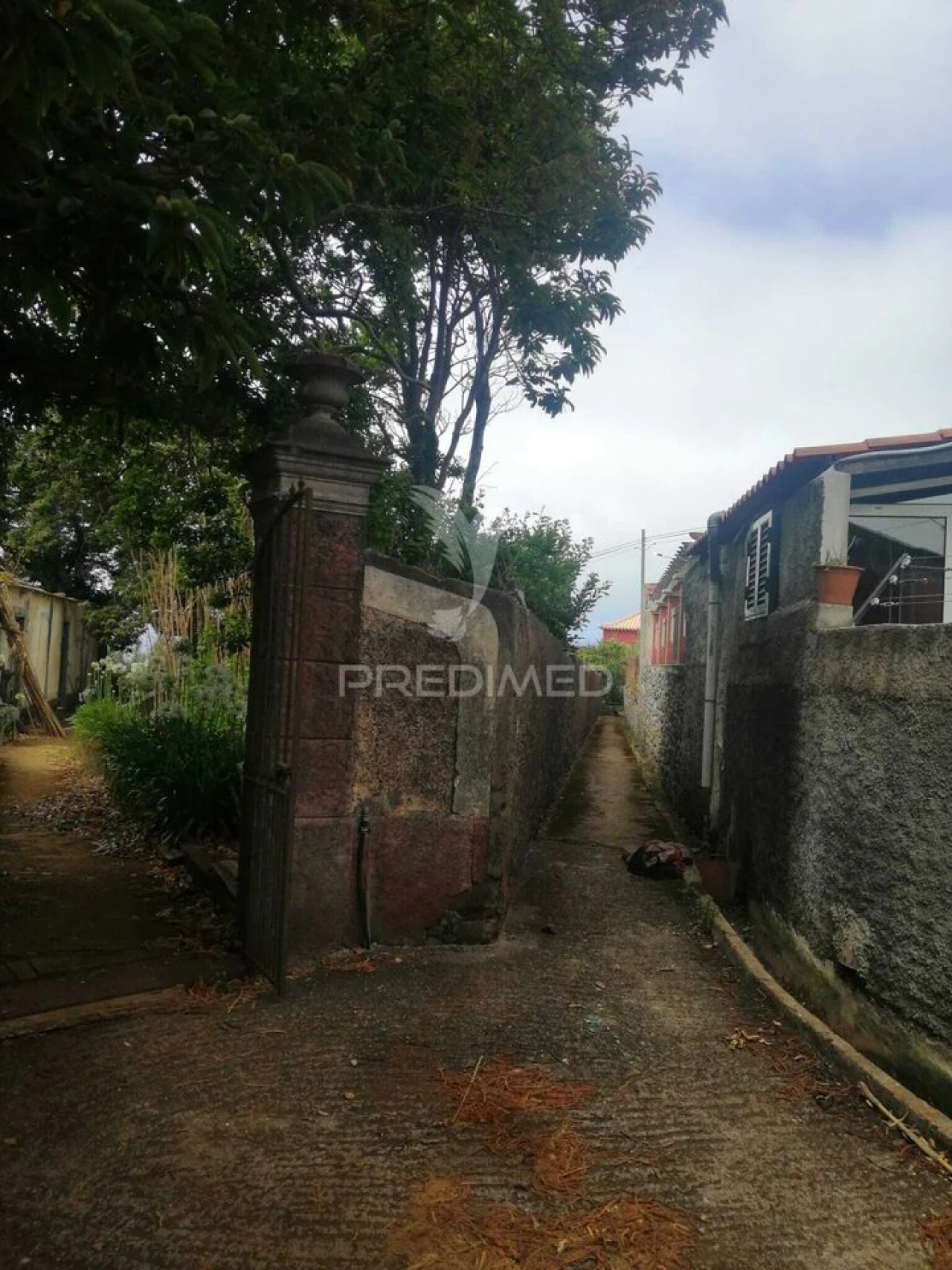 Quinta T9 para Venda em Ponta do Pargo Foto 8