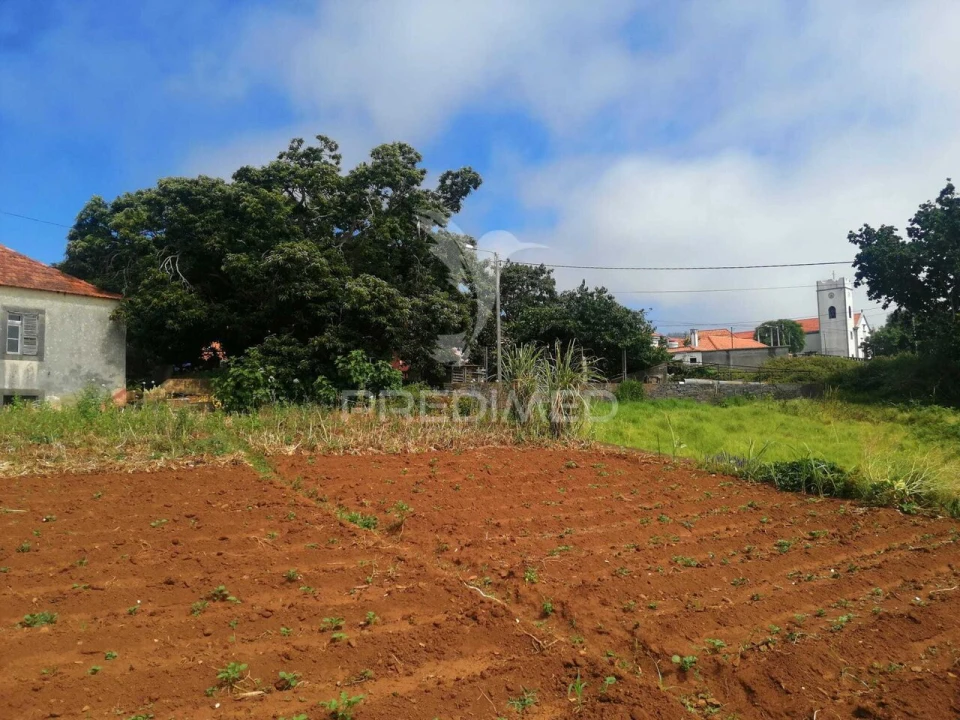Quinta T9 para Venda em Ponta do Pargo Foto 4