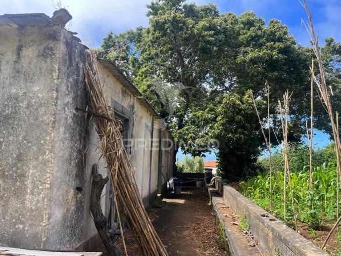 Quinta T9 para Venda em Ponta do Pargo Foto 16