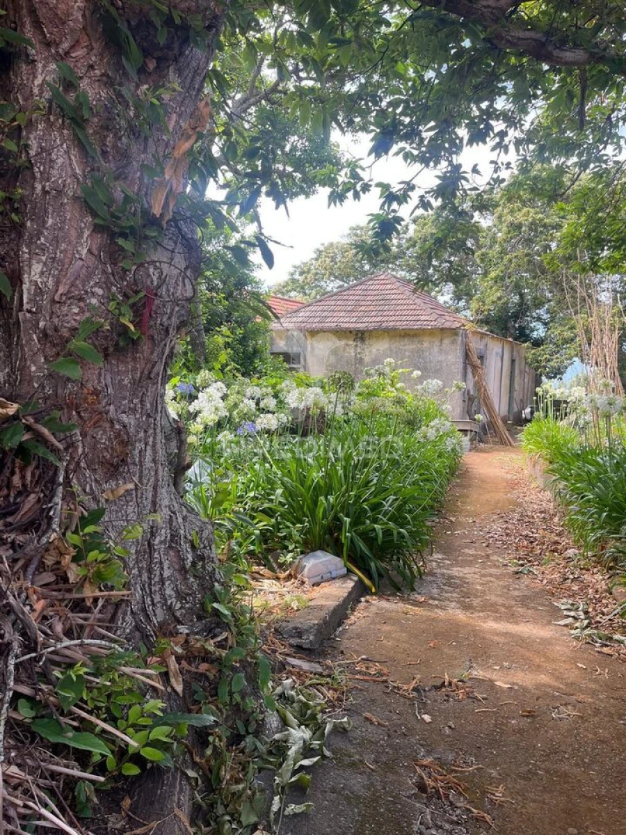 Quinta T9 para Venda em Ponta do Pargo Foto 13