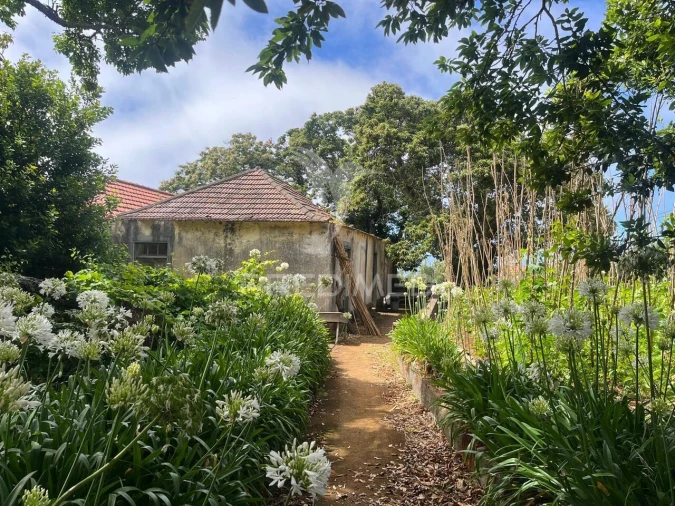 Quinta T9 para Venda em Ponta do Pargo Foto 15