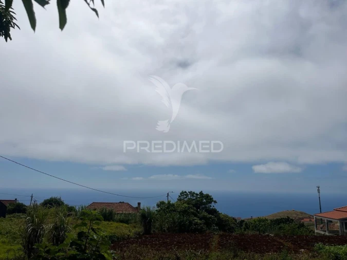 Quinta T9 para Venda em Ponta do Pargo Foto 12