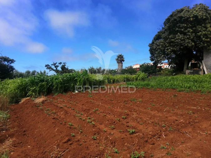 Quinta T9 para Venda em Ponta do Pargo Foto 18