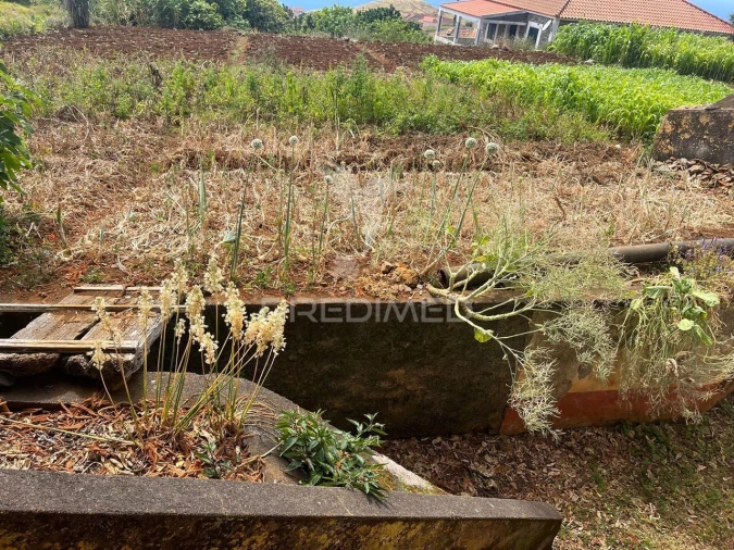 Quinta T9 para Venda em Ponta do Pargo Foto 6