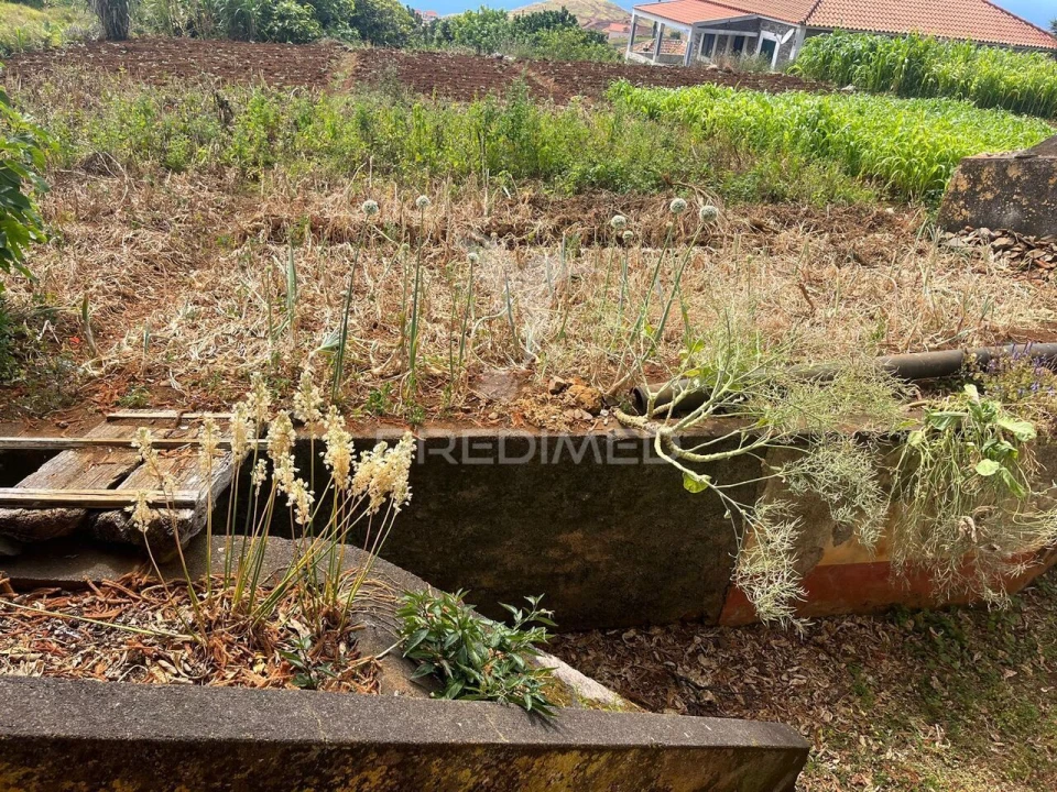 Quinta T9 para Venda em Ponta do Pargo Foto 6