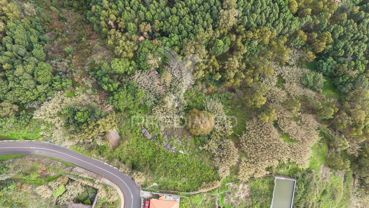 Terreno para Venda em Caniço Foto 1