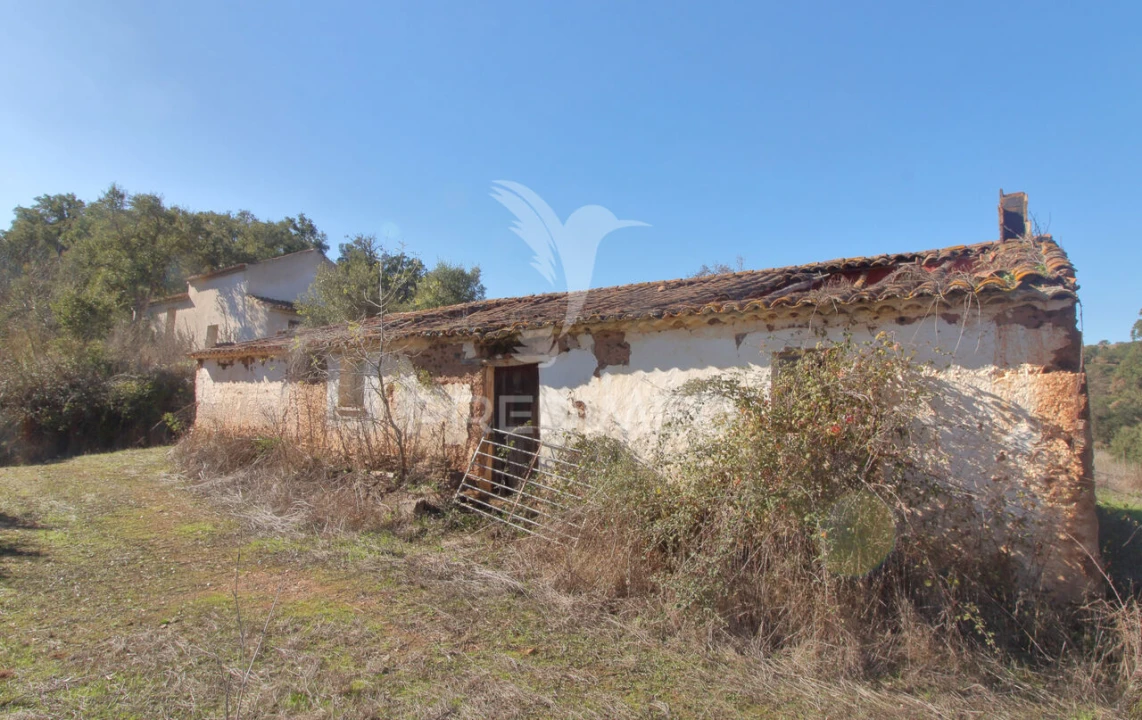 Quinta T3 para Venda em Boavista dos Pinheiros Foto 12