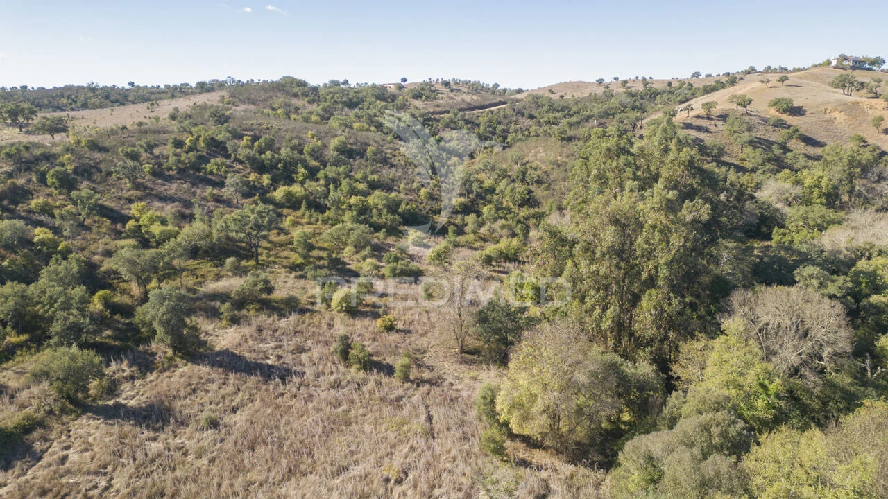 Quinta T3 para Venda em Boavista dos Pinheiros Foto 29