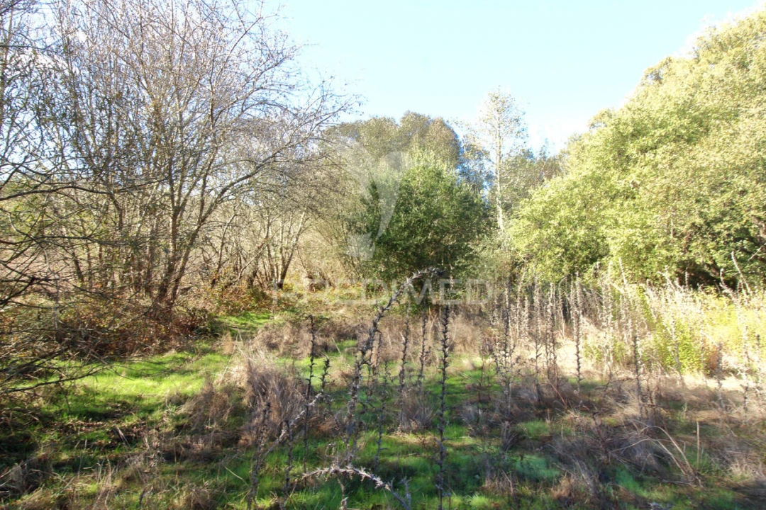 Quinta T3 para Venda em Boavista dos Pinheiros Foto 18