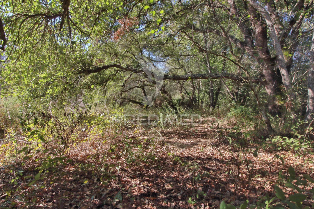 Quinta T3 para Venda em Boavista dos Pinheiros Foto 17