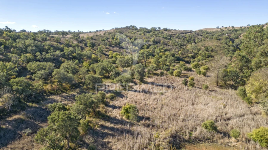 Quinta T3 para Venda em Boavista dos Pinheiros Foto 30