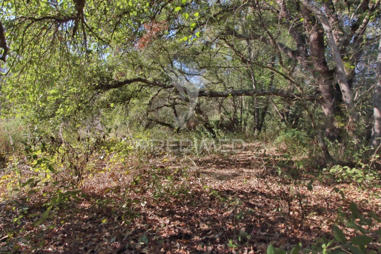 Quinta T3 para Venda em Boavista dos Pinheiros Foto 17