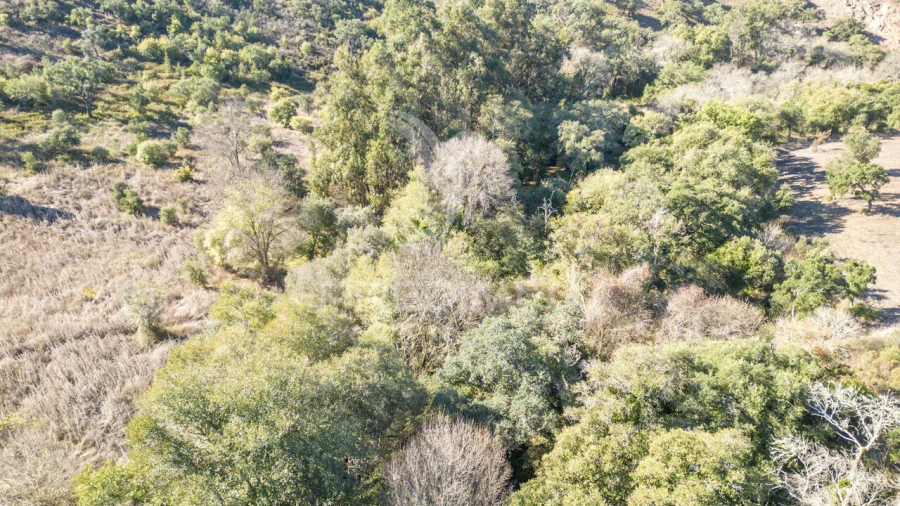 Quinta T3 para Venda em Boavista dos Pinheiros Foto 31