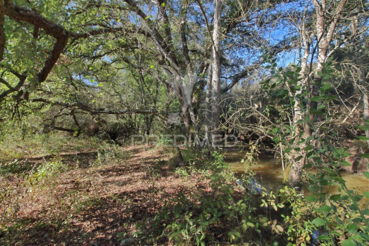 Quinta T3 para Venda em Boavista dos Pinheiros Foto 14