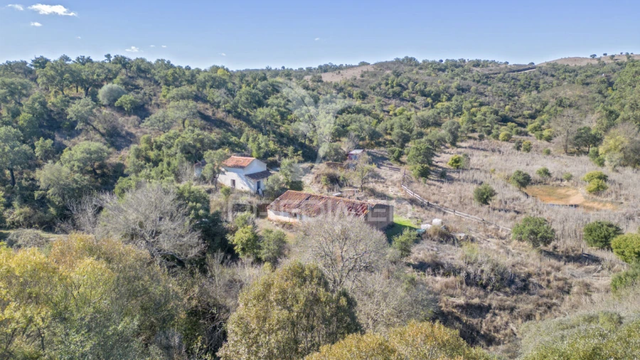 Quinta T3 para Venda em Boavista dos Pinheiros Foto 10