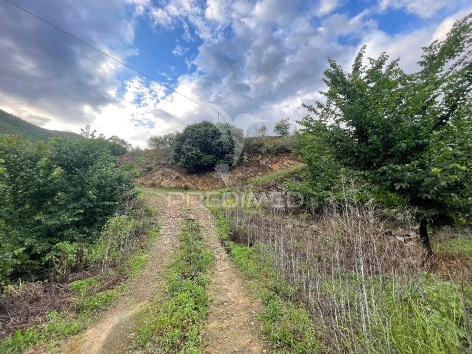 Terreno para Venda em Freixo de Numão Foto 7