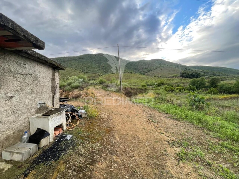 Terreno para Venda em Freixo de Numão Foto 1