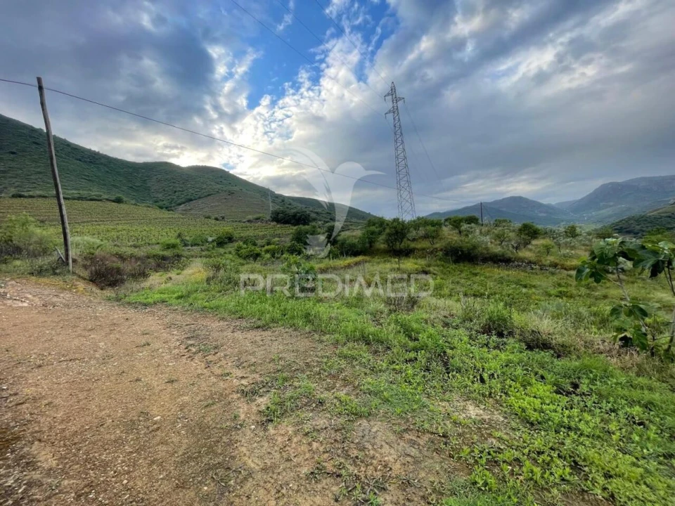 Terreno para Venda em Freixo de Numão Foto 2