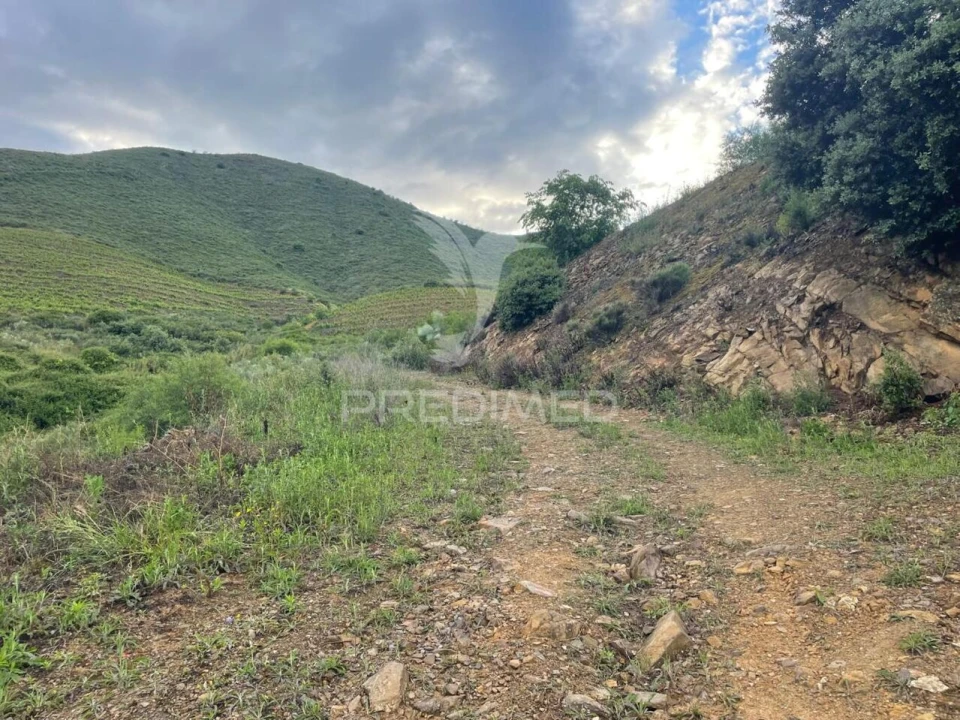 Terreno para Venda em Freixo de Numão Foto 5
