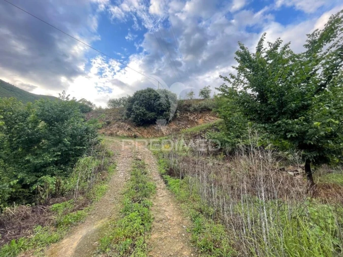 Terreno para Venda em Freixo de Numão Foto 7