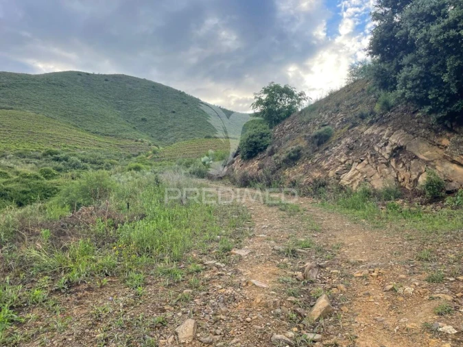 Terreno para Venda em Freixo de Numão Foto 5