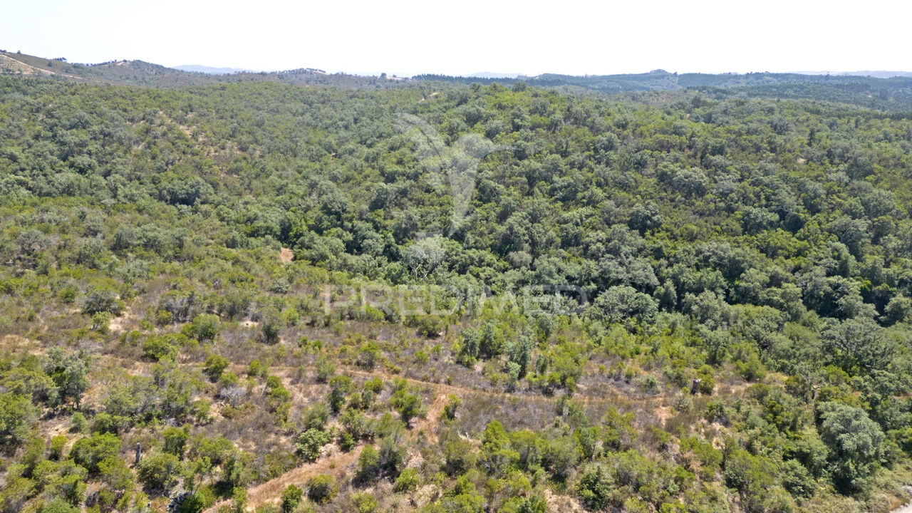 Quinta T2 para Venda em Reliquias Foto 16