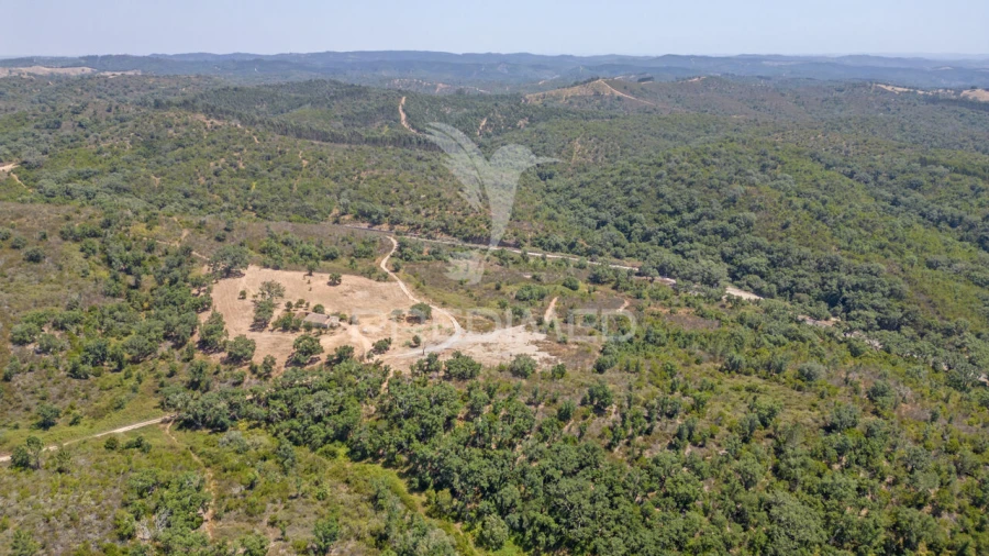 Quinta T2 para Venda em Reliquias Foto 10