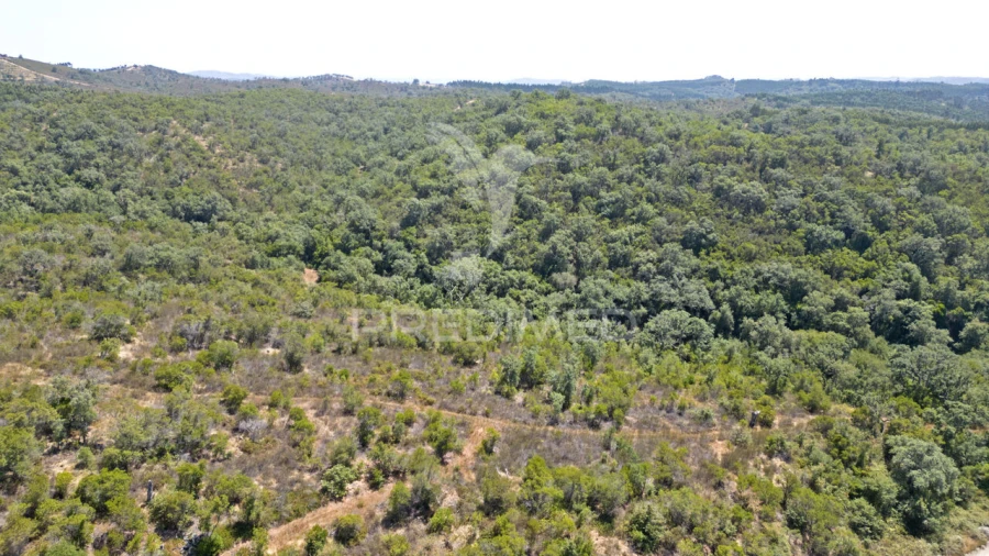 Quinta T2 para Venda em Reliquias Foto 16