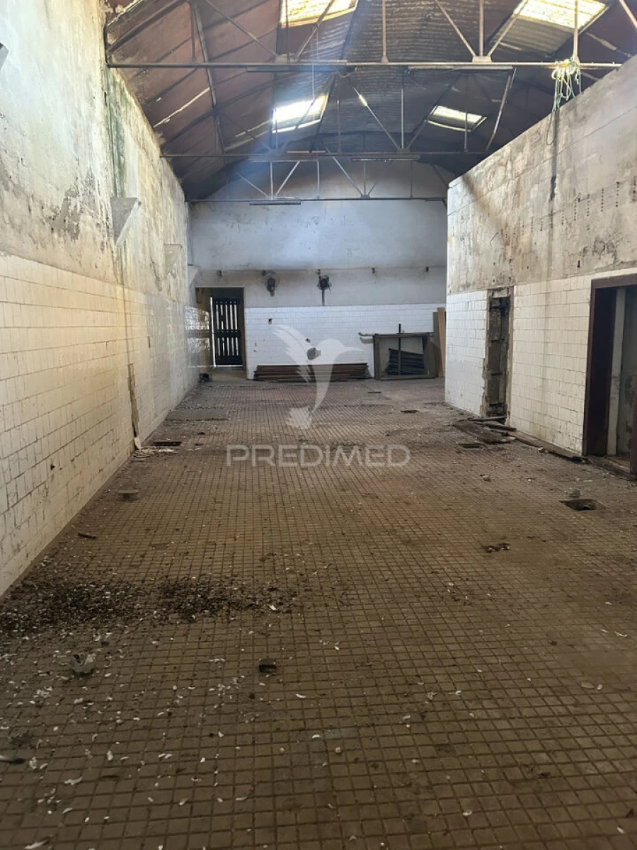 Armazém para Venda em Milheiros Foto 2