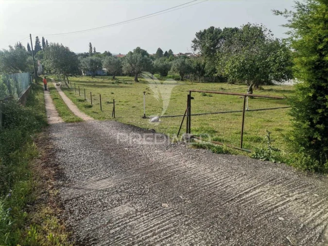 Moradia T4 para Venda em Paialvo Foto 6