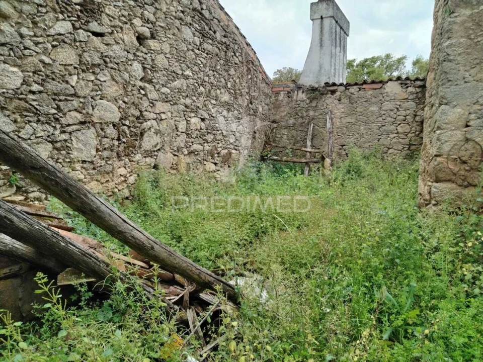 Moradia T0 para Venda em Alagoa Foto 2