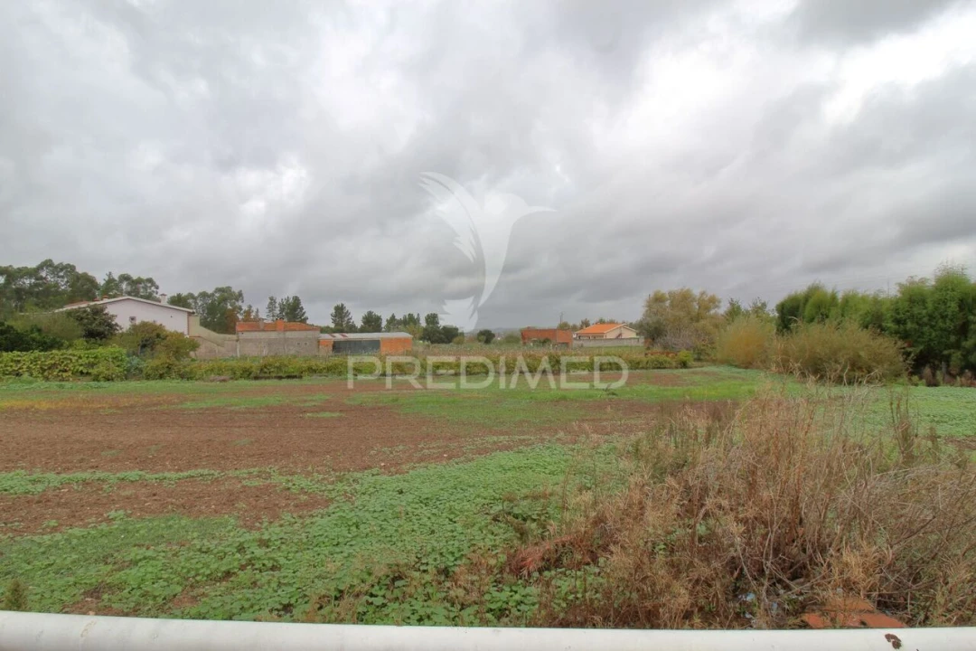 Terreno para Venda em Oiã Foto 5