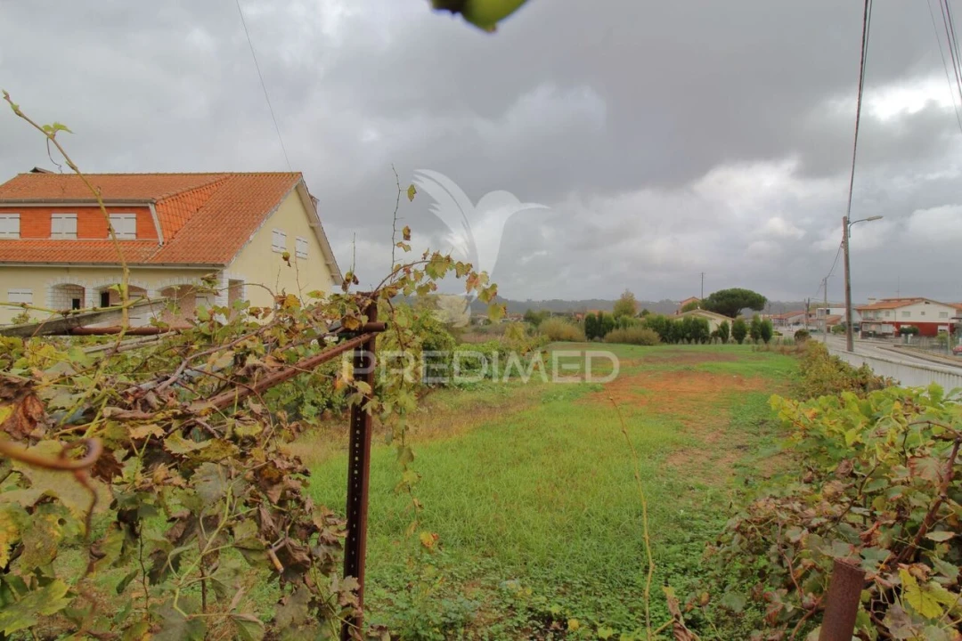 Terreno para Venda em Oiã Foto 3