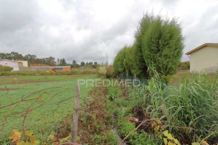 Terreno para Venda em Oiã Foto 6