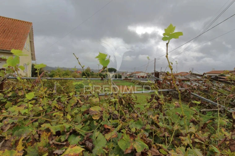 Terreno para Venda em Oiã Foto 1